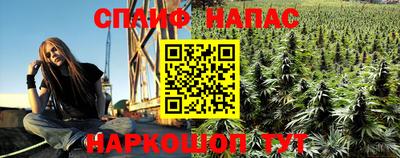прущие грибы Новокубанск