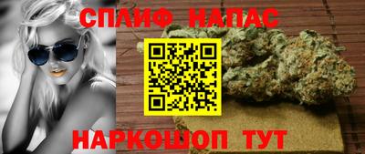 прущие грибы Новокубанск